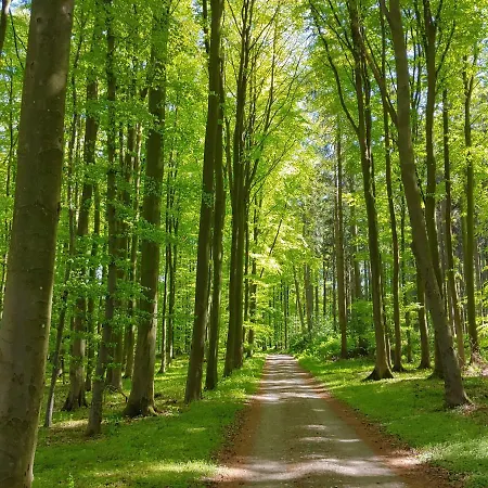 Lägenhet Gut Hohenstein - Meiereiappartment *