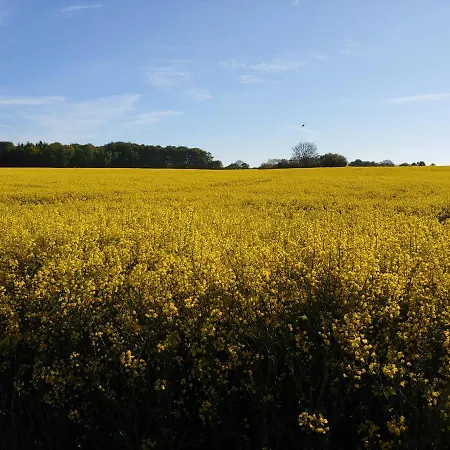 Lägenhet Gut Hohenstein - Meiereiappartment Barkelsby